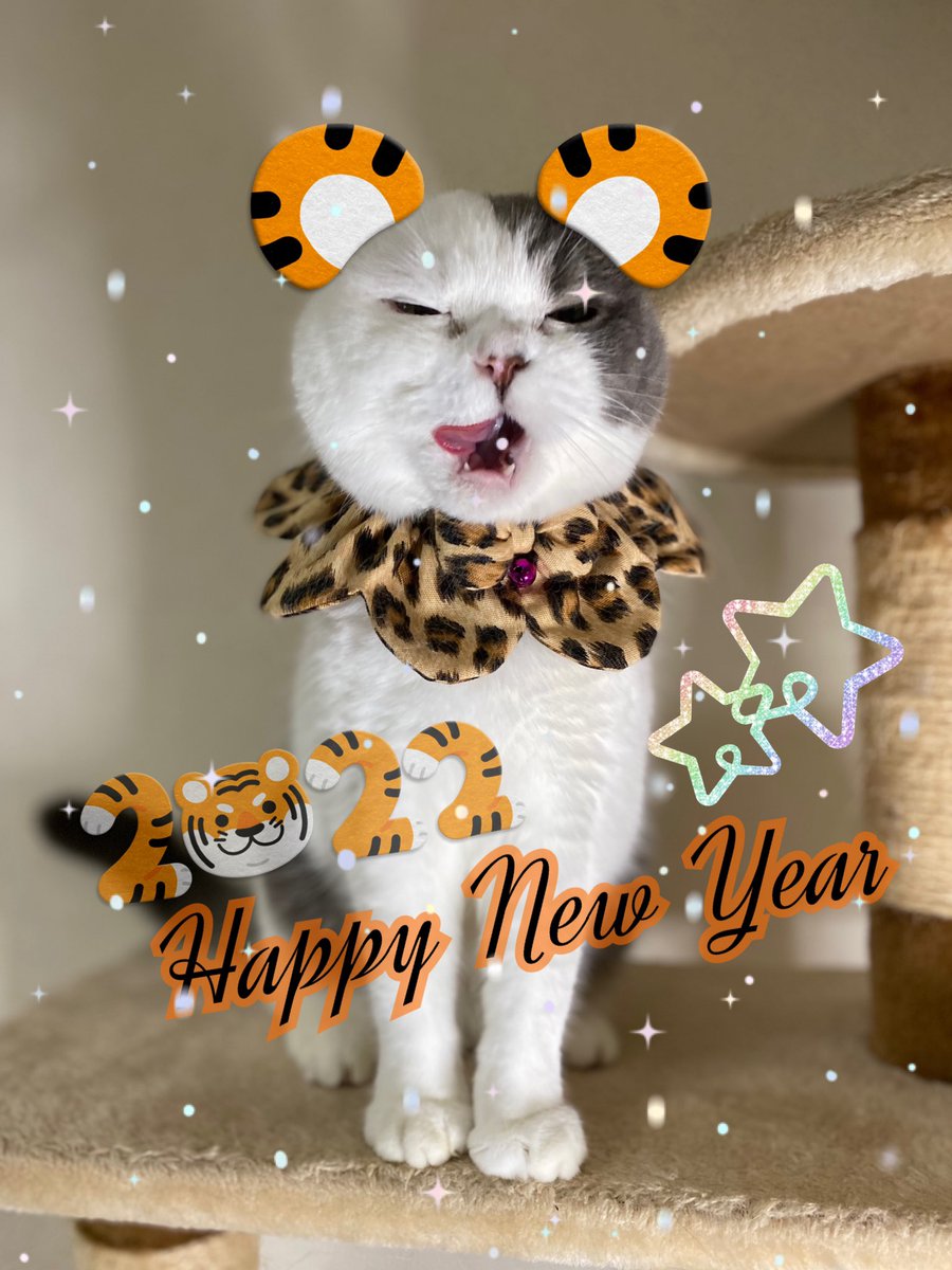 BABY_20150918's tweet photo. あけましておめでとうございます🐯
2022年💛猫年🤔💭 https://t.co/O18we4fFvb