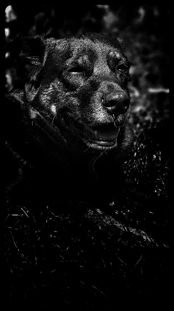 Gaston Banno tweet media