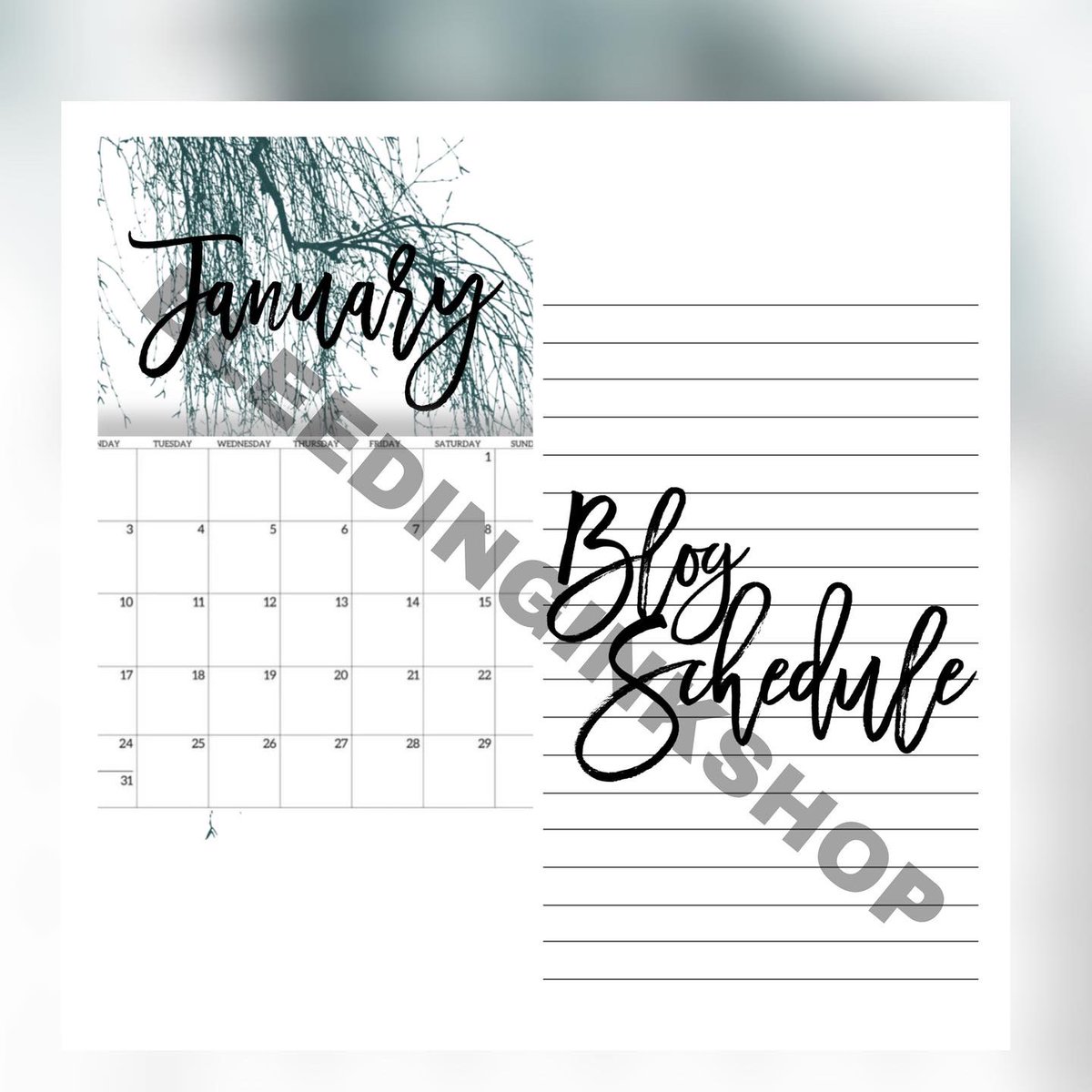 iamcmims's tweet photo. January is here! Do you have a #bujo? A #blog? Well you might want to use this #blogschedule ! Go to https://t.co/i82KovrabT It’s a great way to know when which blog post is published! I'm using it! #WritingCommunity #BloggingCommunity #BujoCommunity https://t.co/KAjhr7NZKT
