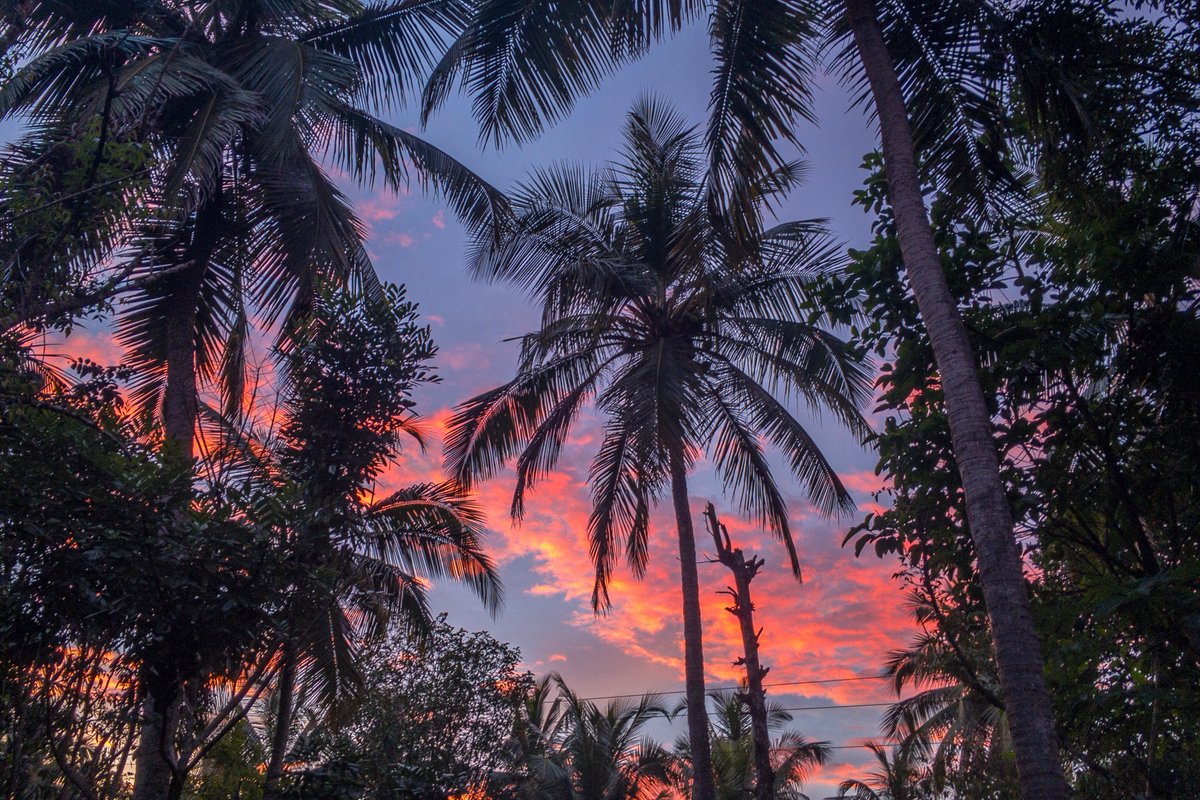 First sunrise of 2022. Happy New Year everyone!