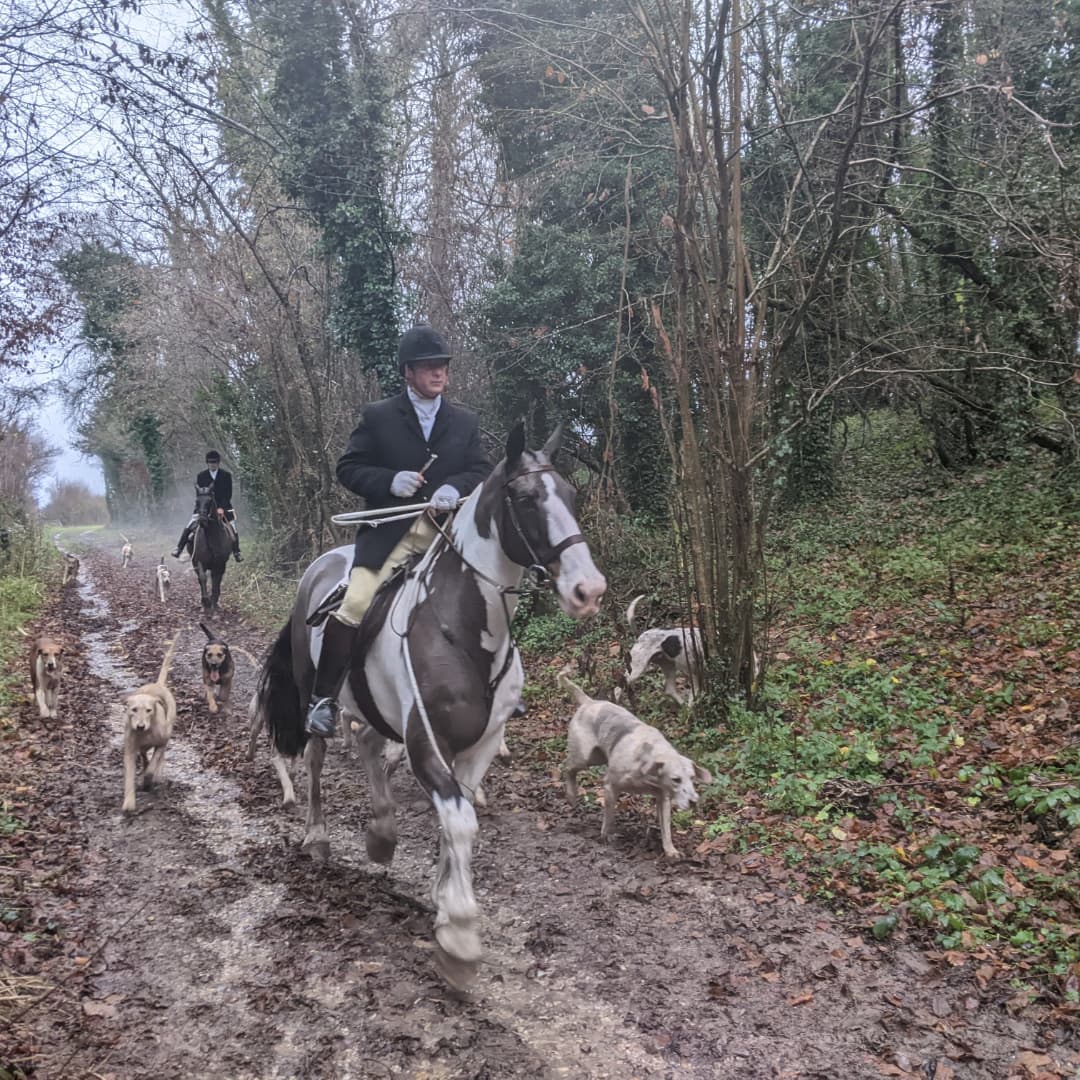 south_hunt's tweet photo. HIT REPORT "BOXING DAY"
Hursley Hambledon Hunt at The Bucks Head, Meonstoke
Check the full report on our fb.
https://t.co/PpuuAPvZFc https://t.co/ffTjkjXBKV