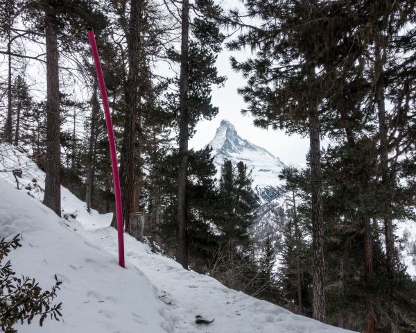ChaletAltesse's tweet photo. Blow the heady celebrations of the season away with a good healthy hike on the Zermatt-Sunnegga-Weg. Reward your efforts in one of the many restaurants at the top!  https://t.co/FFKfyV8od2  by Schweiz Tourismus https://t.co/7nqBRTWocN