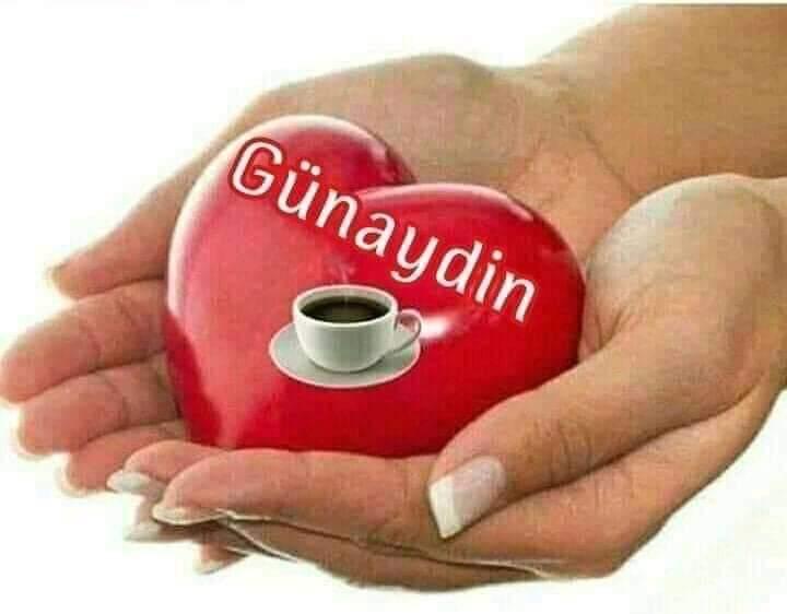 Suzan Şen Saral (@saralsuzan) on Twitter photo 