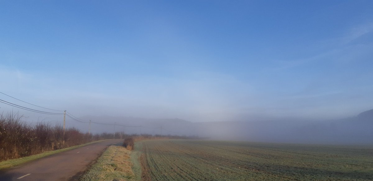 OrMeteo's tweet photo. [ #INVERSION 🌫☀️ ] Comme toujours par temps anticyclonique, l'inversion est de mise ce matin avec brouillards et gelées (-1/1°C) en fond de vallée contre soleil et douceur en altitude (6/8°C) donnant de magnifiques paysages et même un semblant d'#arcblanc sur la 4ème photo ? 🤩 https://t.co/KMD0tbMxXk