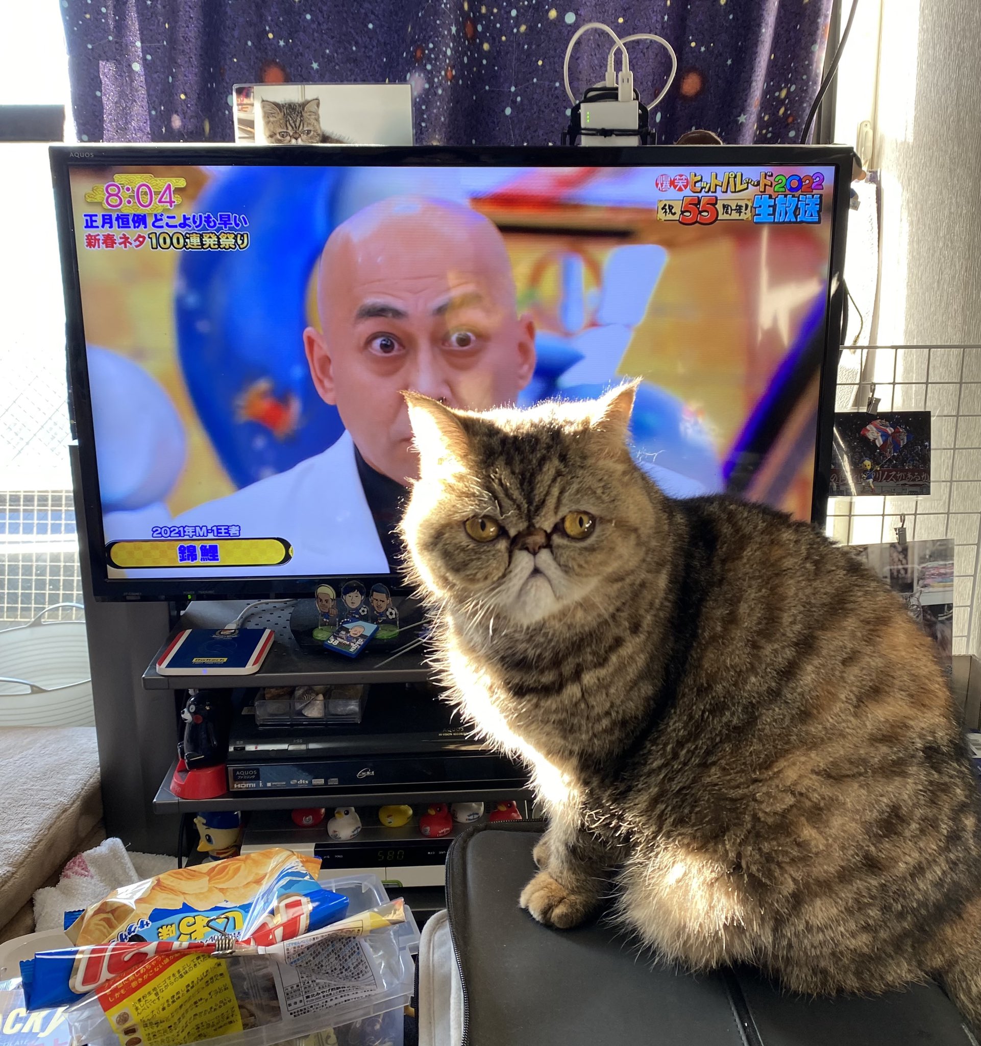 シャボン ボンちゃん Mipo Marinos Twitter