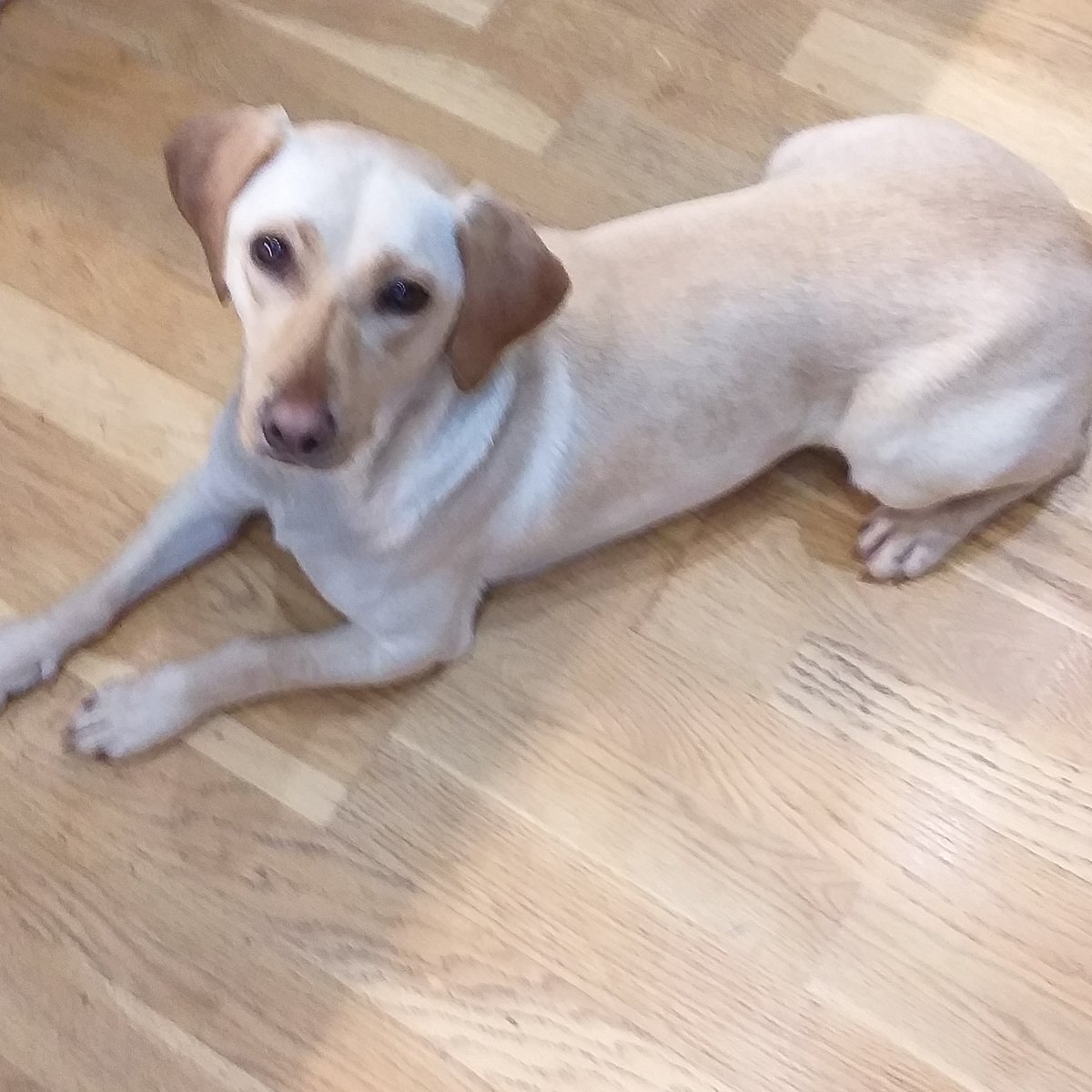 Bygone Boating tweet media