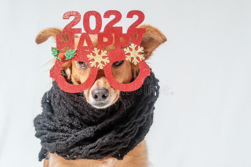 BitDoggos tweet media