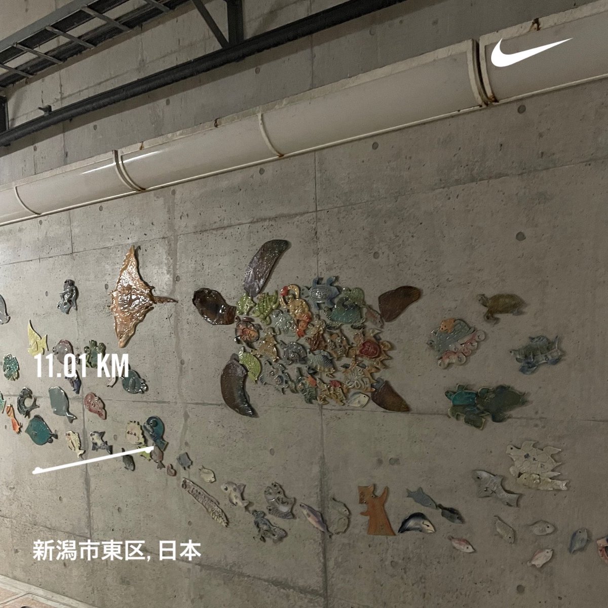 fcdeneb4's tweet photo. Nike⁠ Run Club アプリで 11.01 kmを走りました https://t.co/cSaiwQ168q