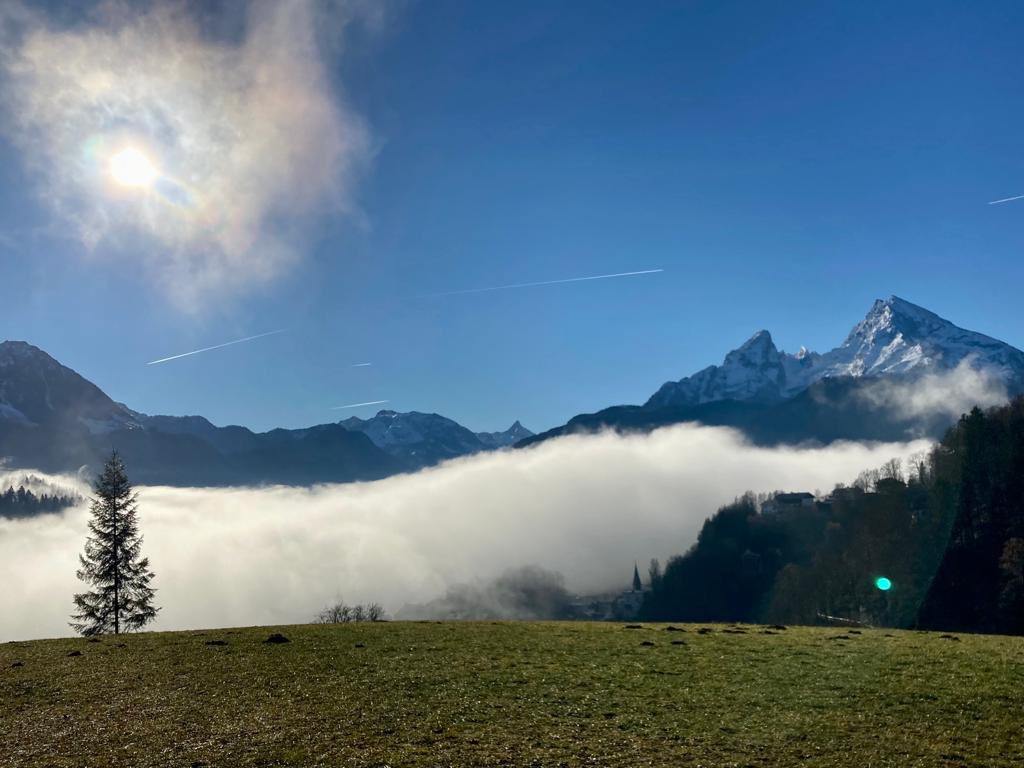 Ein gutes Neues Bleibt gesund