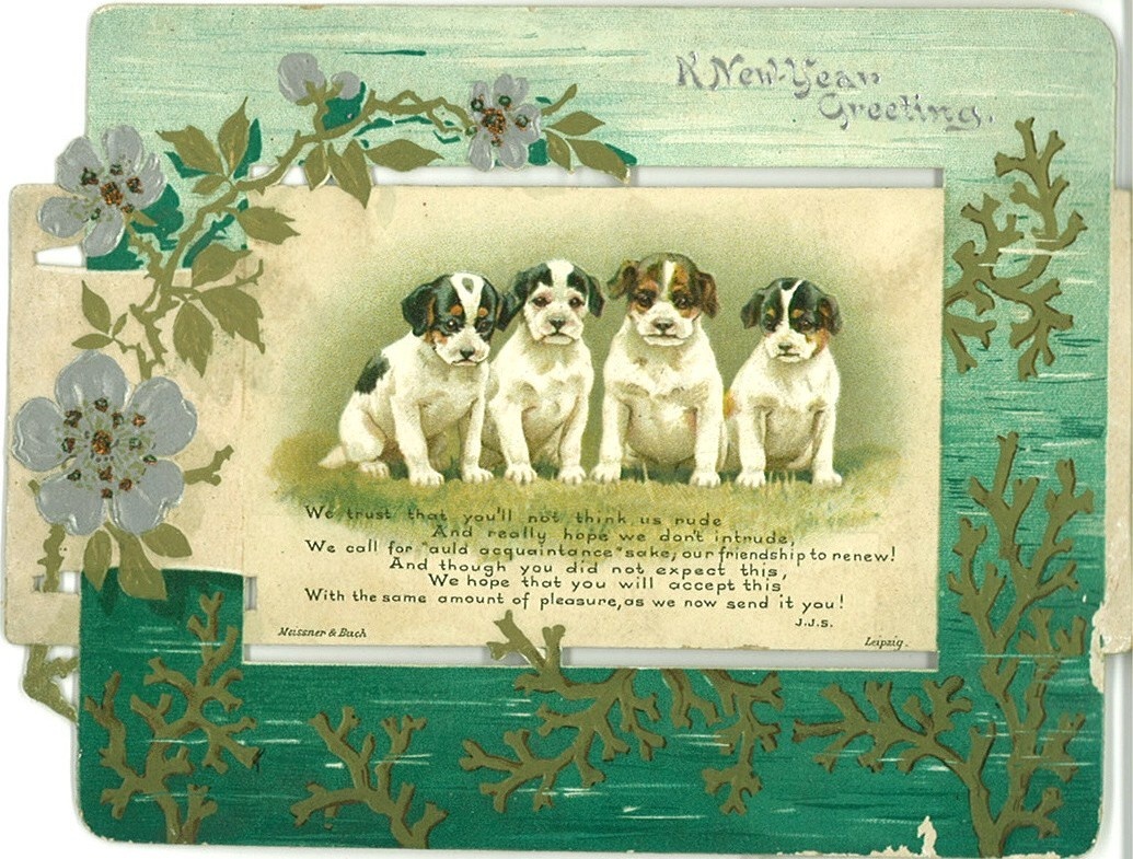 Happy New Year! 🥂 🎆 🎉 

To Celebrate here is a fun New Years card from one of our Hicks Beach family collection (D2455).

#HappyNewYear