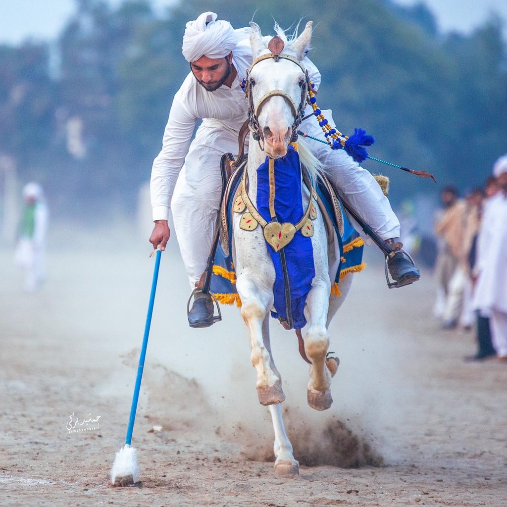buurki_'s tweet photo. Tent pegging  in Dera Ismaial Khan . It was my first experience shooting tent pegging with @asmarhussain110 .As it was said by Asmar bhai this is one of the most difficult and challenging sports to shoot . Somehow i got few good shots. https://t.co/hPVblPOuNN