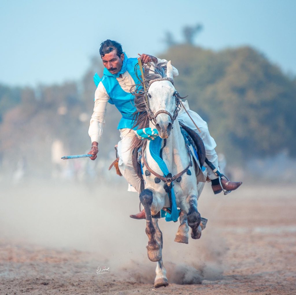 buurki_'s tweet photo. Tent pegging  in Dera Ismaial Khan . It was my first experience shooting tent pegging with @asmarhussain110 .As it was said by Asmar bhai this is one of the most difficult and challenging sports to shoot . Somehow i got few good shots. https://t.co/hPVblPOuNN