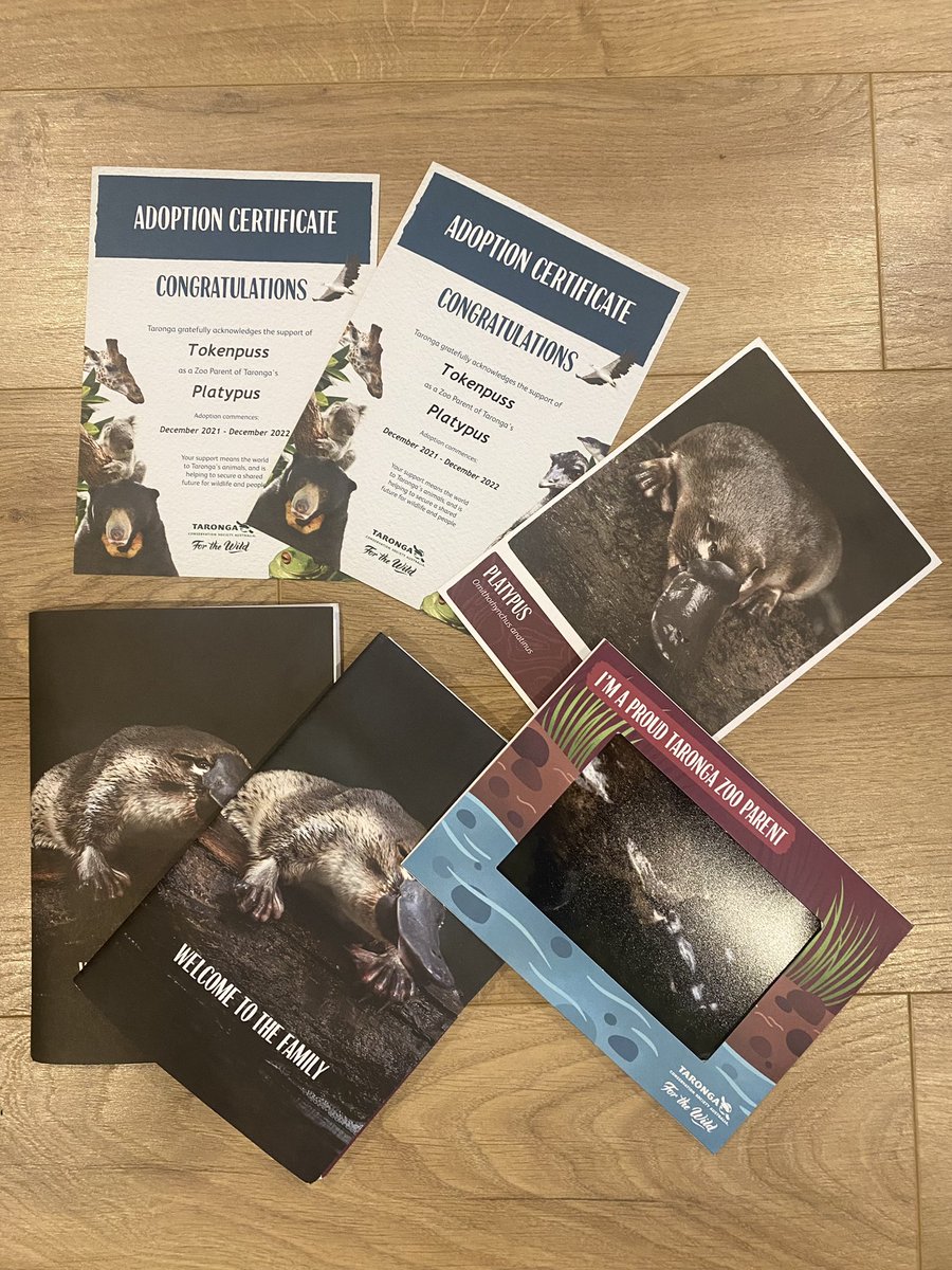 tokenpuss's tweet photo. Meet our new members! 2 adopted platypuses from #Tokenpuss community

#NFTCommunity #nft #nfts #nftcollector #nftart https://t.co/1KAHNSUs85