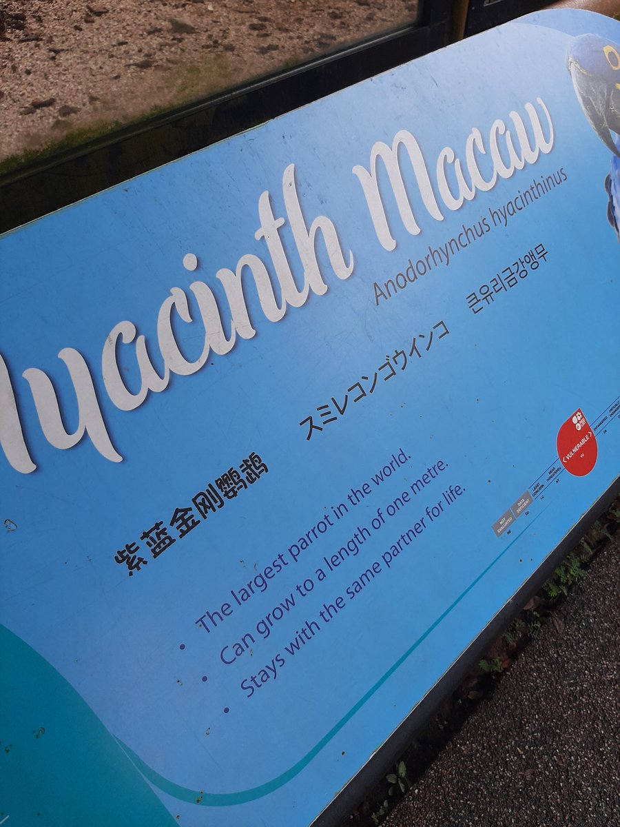 alyssa_studies's tweet photo. today i went to the bird park. i felt so belated as almost everywhere hv korean translation under the english words (even the map and signboards). #langtwt https://t.co/g7AmrAAW6r