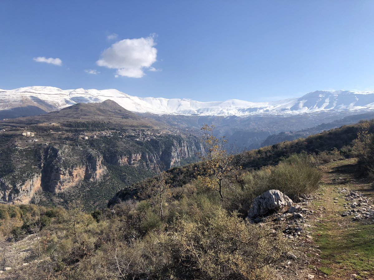 Michael Khadra tweet media