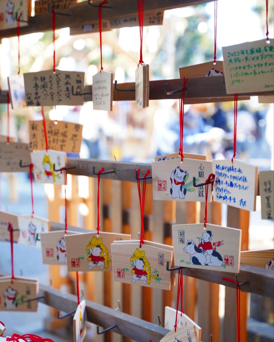 NihonBox tweet media