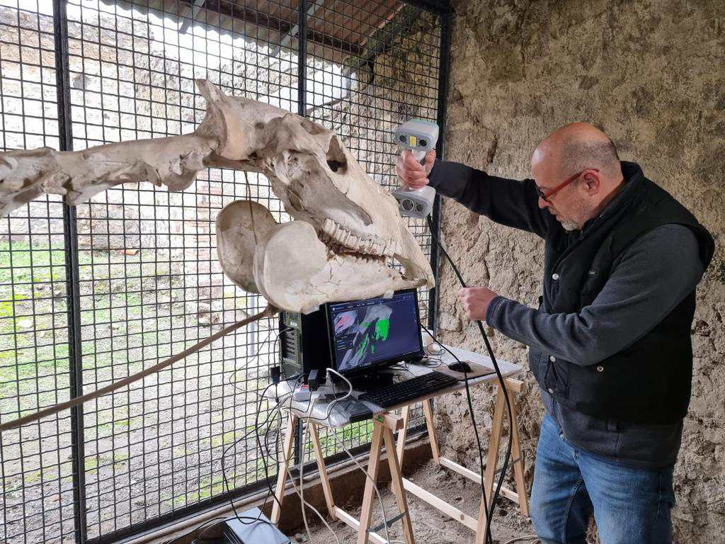 TurismoItaliaNw's tweet photo. Pompei: via al restauro del cavallo di Maiuri, sul posto ci sarà un nuovo allestimento con un modello 3d
Leggi la notizia https://t.co/elIz3RKxGA
#Pompei #restauro #cavallo #modello3D #turismo #archeologia @pompeii_sites @MiC_Italia https://t.co/otyAZtUjt5