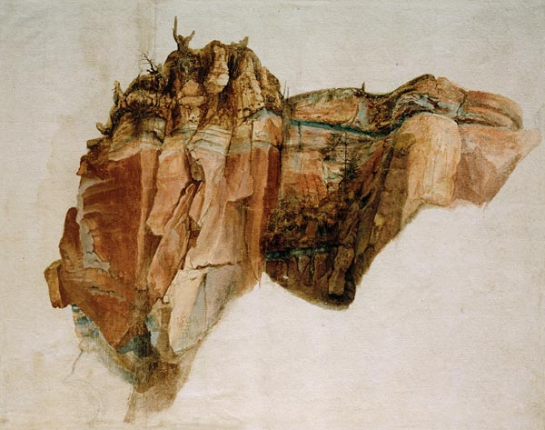 Pteroterror's tweet photo. Some observational natural science (zoology &amp; geology) artworks by Albrecht Dürer from 1500s. Ahead of their time. https://t.co/ElOgq1LyLq