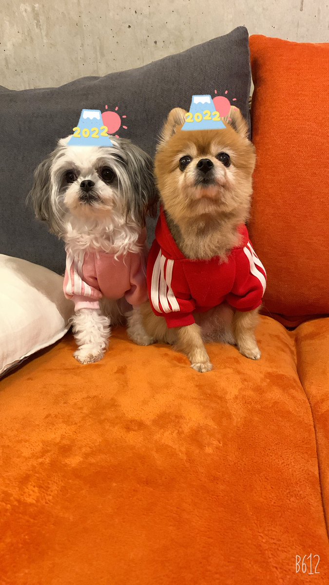 nico_aro's tweet photo. 新年明けましておめでとうございます！

旧年中は大変お世話になりました

本年もどうぞよろしくお願い申し上げます！！
　　 　　 　＼　｜　／
迎┃　　　 　／￣￣＼
━┛　　　―( ・∀・  )─
春┃　　 　  ＼＿＿／
━┛　　　 　／　｜ ＼

　　　　／￣＼
　☁ ／～～～＼　☁
　　／　´･ω･` https://t.co/QGBhNrtqCw