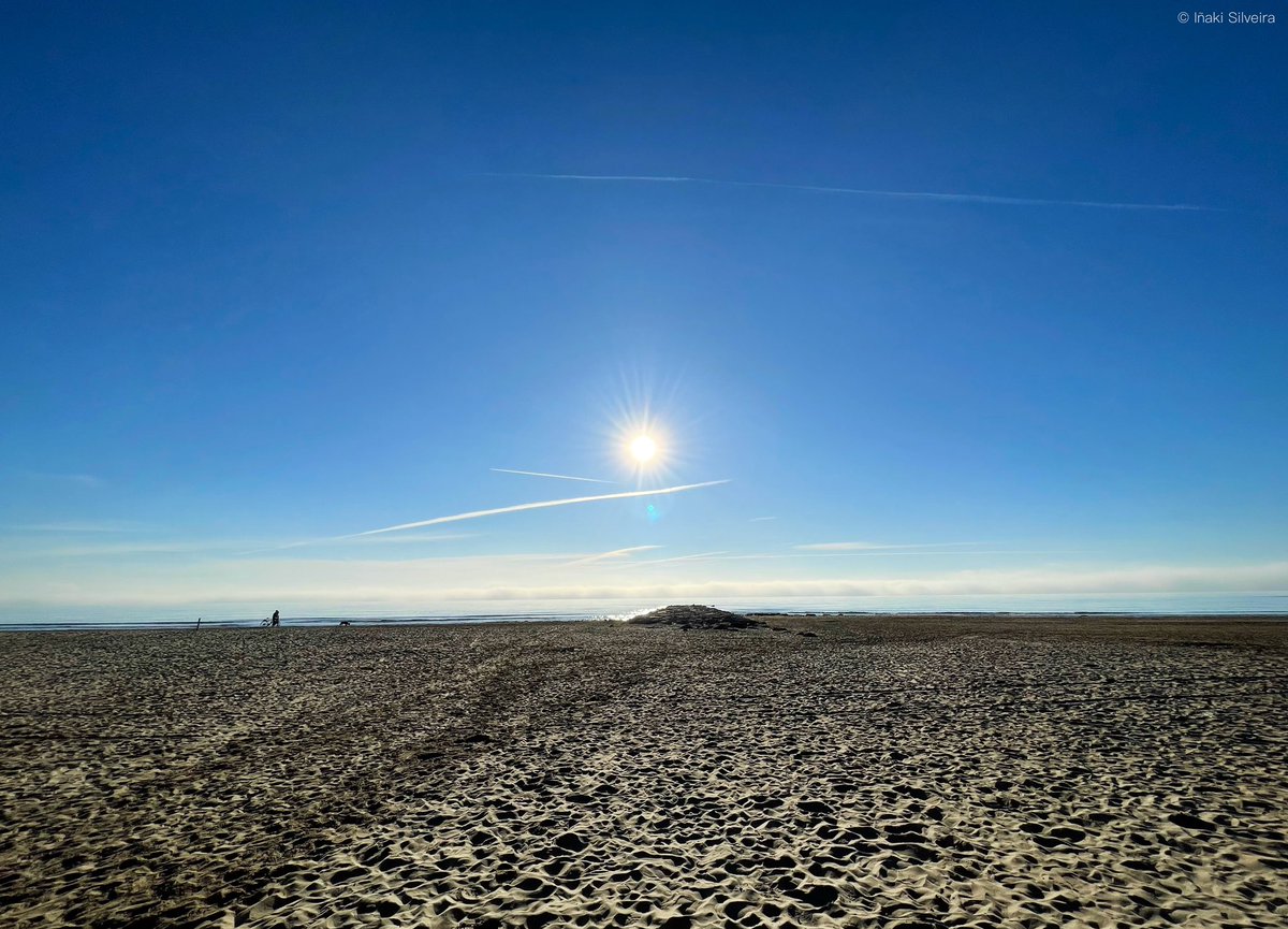 Así empieza 2022 por #Benicàssim. Temperatura agradable, sol intenso y bruma en el horizonte.
Restart completed. Vamos a ver si a la tercera va la vencida. Locos años 20…