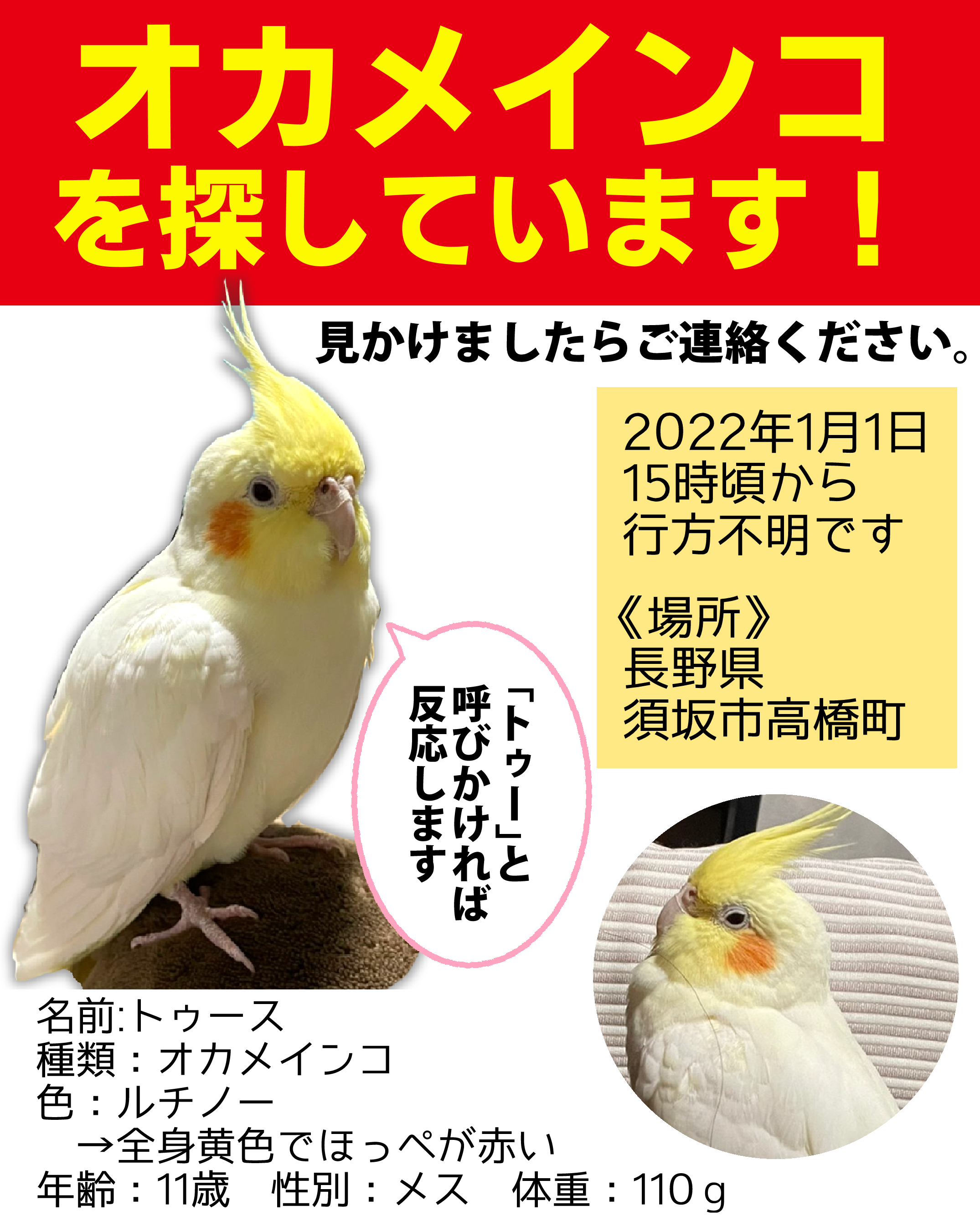 Follow オカメインコを探しています S Kuchannoouchi Latest Tweets Twitter