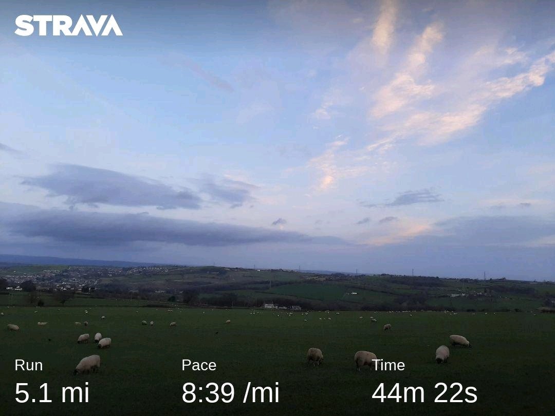 emmelinewd19's tweet photo. New Years Day Run π₯΅ Soo mild out! Got a stitch halfway round ππ€¦ββοΈ But did it!! #running #runningprobs https://t.co/8nwe4x7tGL