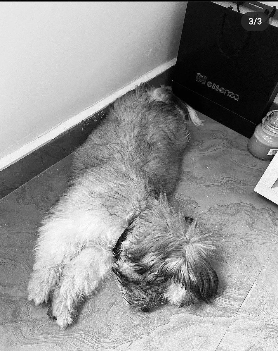 ZeusUmoh's tweet photo. Happy new year Zeus Nation๐๐๐
I ruff you all๐ถ๐ค๐ถ
I promise to take new pictures thus year ๐ค๐
#EmmaRose
#EmmanuelUmoh
#ZeusNation https://t.co/zvz0VB1IwQ