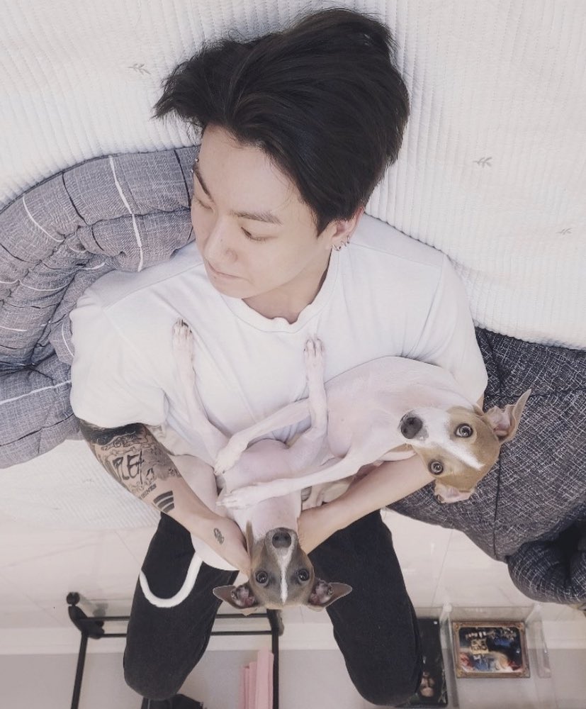 jeonsfr tweet picture