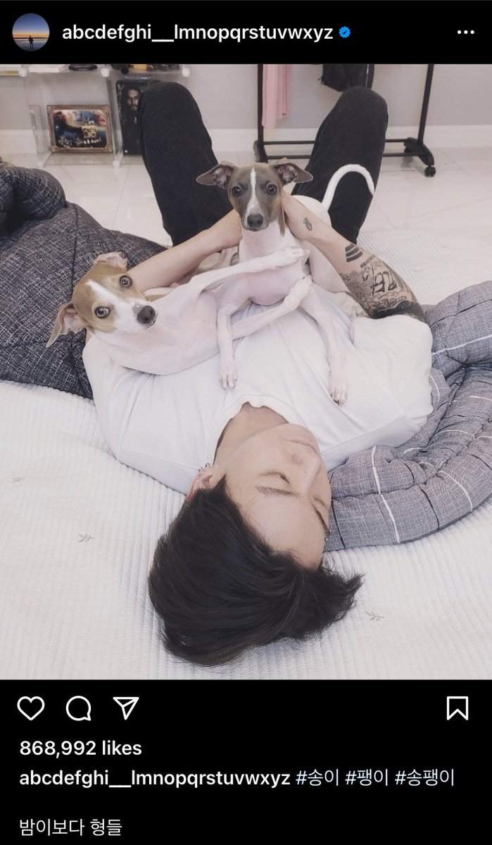 btstranslation7's tweet photo. instagram 220101 | abcdefghi__lmnopqrstuvwxyz

jungkook: #songie #paengie #song_and_paengie
they're both older hyungs to bamie

* he named his dogs after two different types of mushrooms:
1. 송이버섯/songie beoseot = pine mushroom
2. 팽이버섯/paengie beoseot = enoki mushroom https://t.co/feez7SqRFH