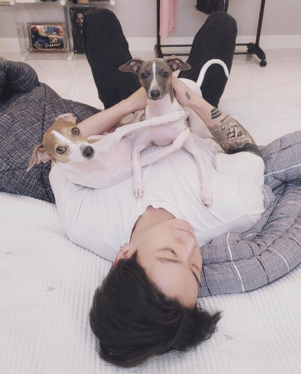 jeonsfr tweet picture