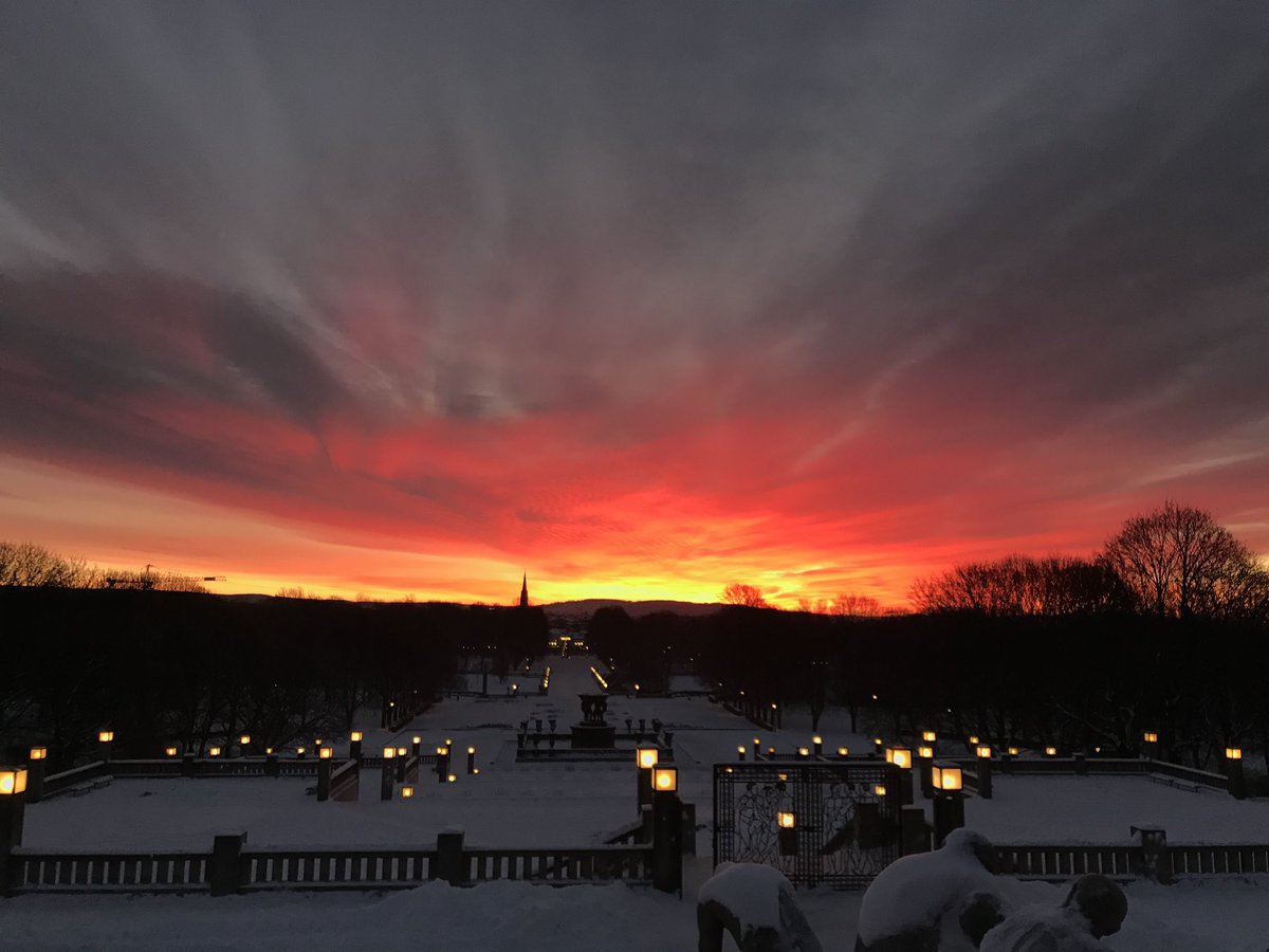 MickyWillmott's tweet photo. Bright start to 2022 in Oslo… https://t.co/fsgYblJGxD