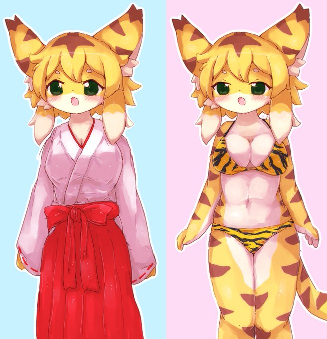 ワーフリのミアちゃん 