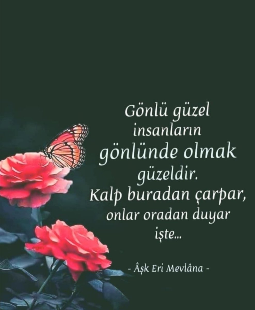 SemaGle83713911's tweet photo. AYNEN ÖYLE 🍀 https://t.co/mHNsMKohsu