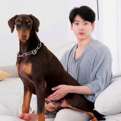 อาโป⁷🥳💃🥴JK_ARIRANG💜 ✨️🐰 tweet media