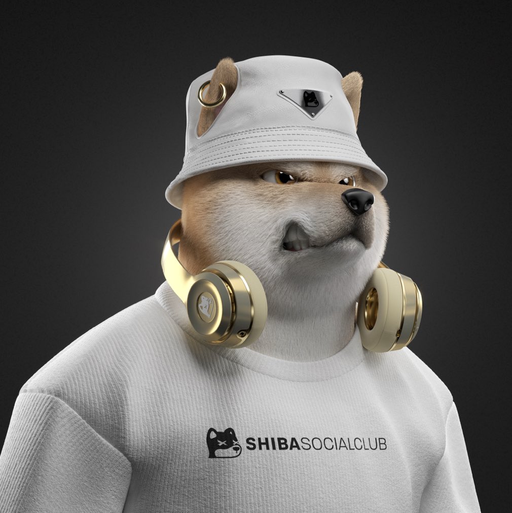 Michael Segl tweet media