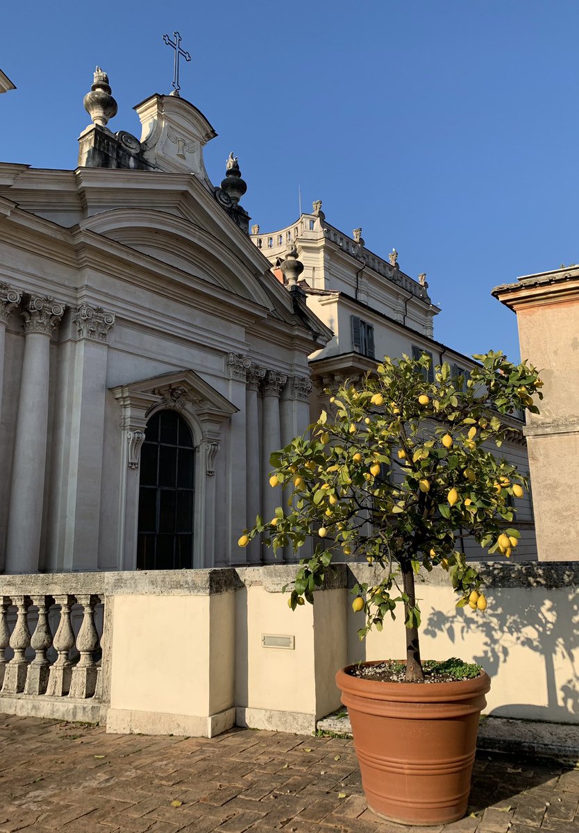 chr_masset's tweet photo. #Rome

#2022

Les promesses du premier jour

Belle et heureuse année 

#Auguri https://t.co/NAKZeUfNtm