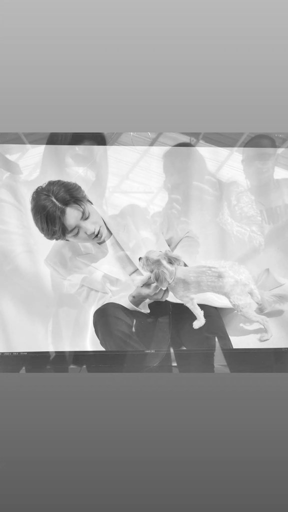찬열 tweet media
