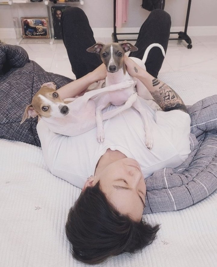 swevenguk's tweet photo. this is just so cute imgonnacry https://t.co/mbQUa1ctiW