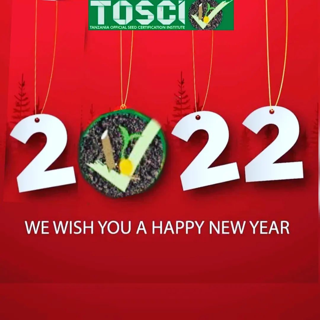 HAPPY NOW YEAR FROM TOSCI TO YOU ALL