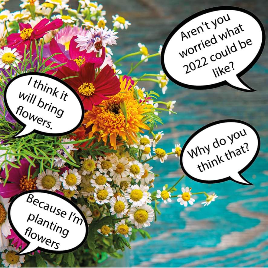 Let's have a blooming good year! #flowerpower #flowersofinstagram #plantingflowers