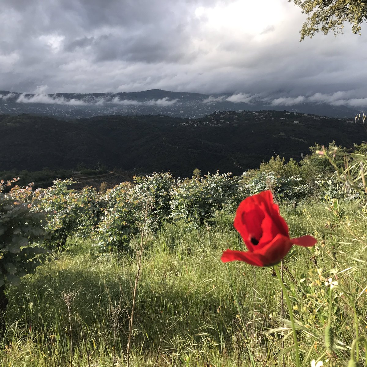 lizbourgine's tweet photo. Très belle et heureuse année à tous.
✨ Que 2022 commence sans tristesse, réparons-nous de mille couleurs pour que la vie soit plus belle ✨
#voeux2022 #belleannee #joie #couleurs #vie #tendresse #sanstristesse #reparation https://t.co/CNeLCFTflj
