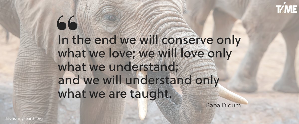 ThisisMyEarth's tweet photo. πΈπ³Senegalese environmentalist Baba Dioum delivered these words in 1968.
https://t.co/UDa3Mivsv6
πΏTiME educates new generations and empowers all those who, like you, want to add values in the fight against extinction.
#TogetherThroughTiME #WhyTiME
#environment #nature https://t.co/PVFrj5F0oj