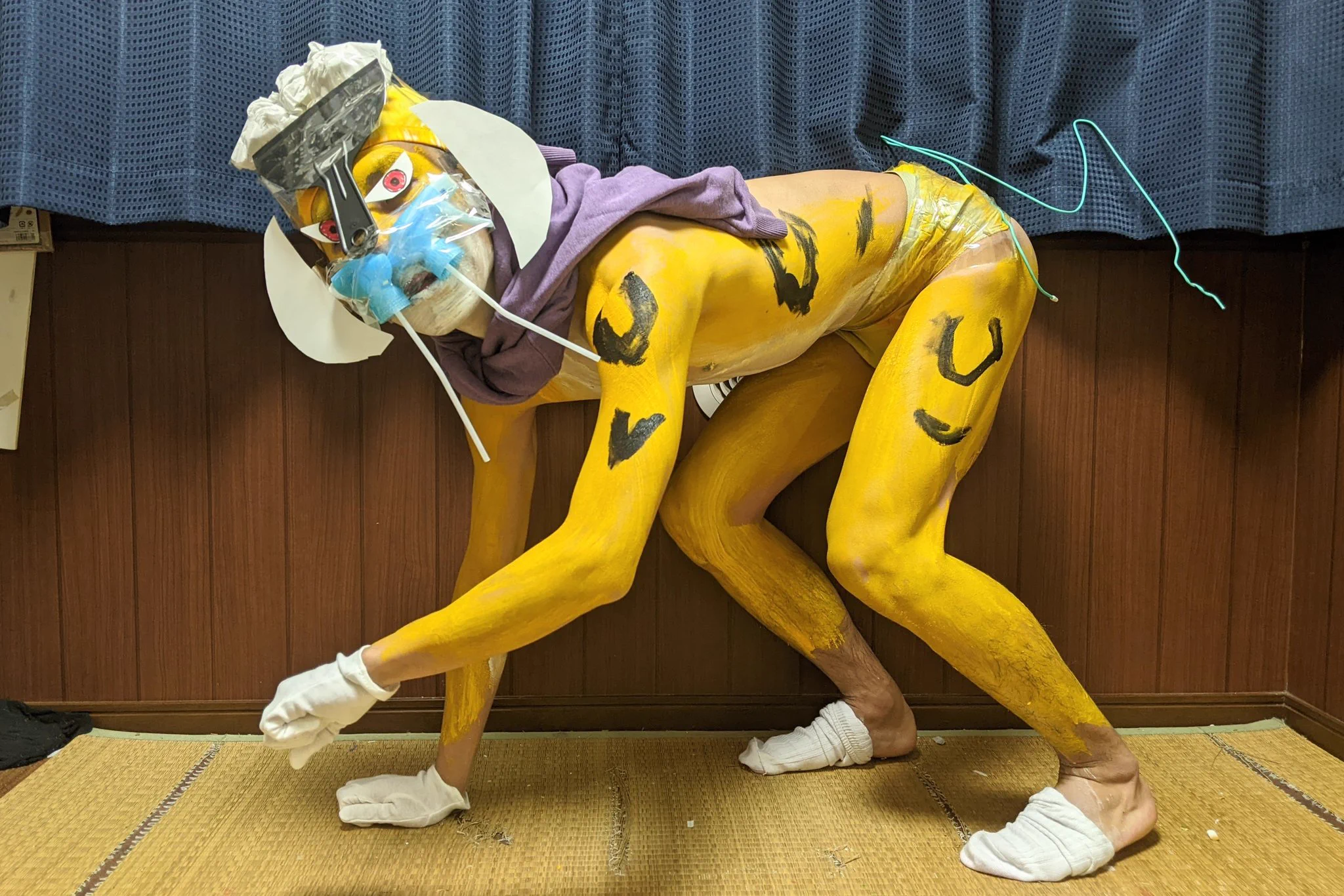 家にある物でやる？ポケモンの「ライコウ」のコスプレwww