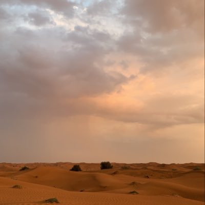 boo_7s's tweet photo. حطيتها تغذون عينكم بتصويري وعجايب الرحمن 😴😴😴 #NewProfilePic https://t.co/bjm6j4bYjV