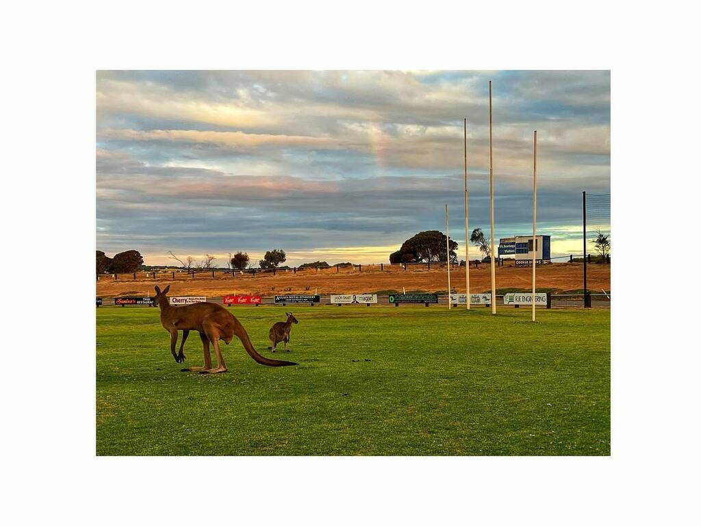 FitzySA's tweet photo. You already got the number one draft pick @nmfcofficial from the south of Adelaide, are you sniffing around for more? Mighty Mob recruiting well for 2022, fair leap on these two @port.noarlungafc #howgoodisaustralia https://t.co/7NZr95VQFc https://t.co/juxZn2g3D2