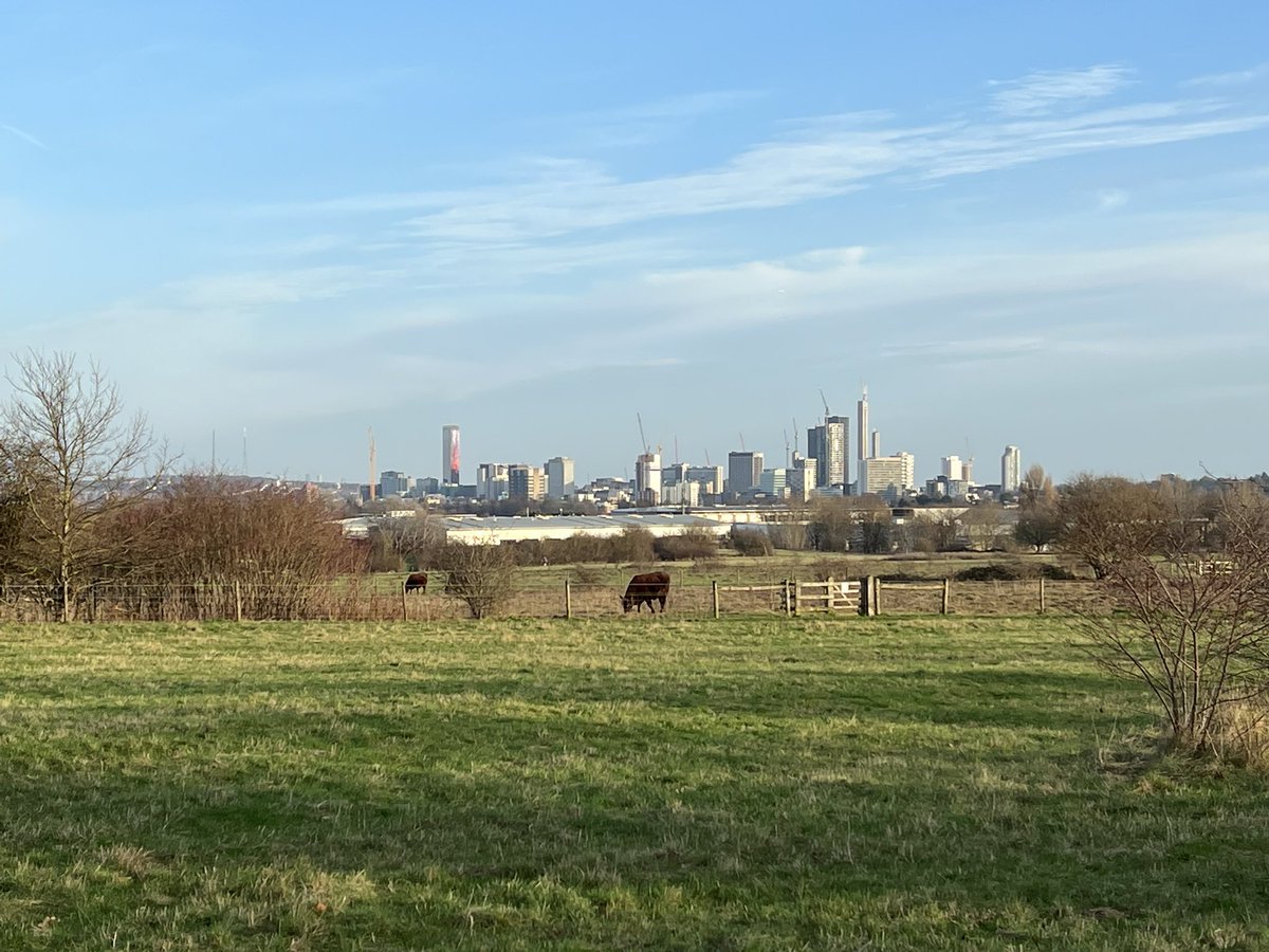 thejavan's tweet photo. Kick off 2022 in a positive way - family 5k #parkrun at #roundshawdowns 

Croydon can look quite handsome, in a certain angle and a certain light. https://t.co/cY4VYw9SN2