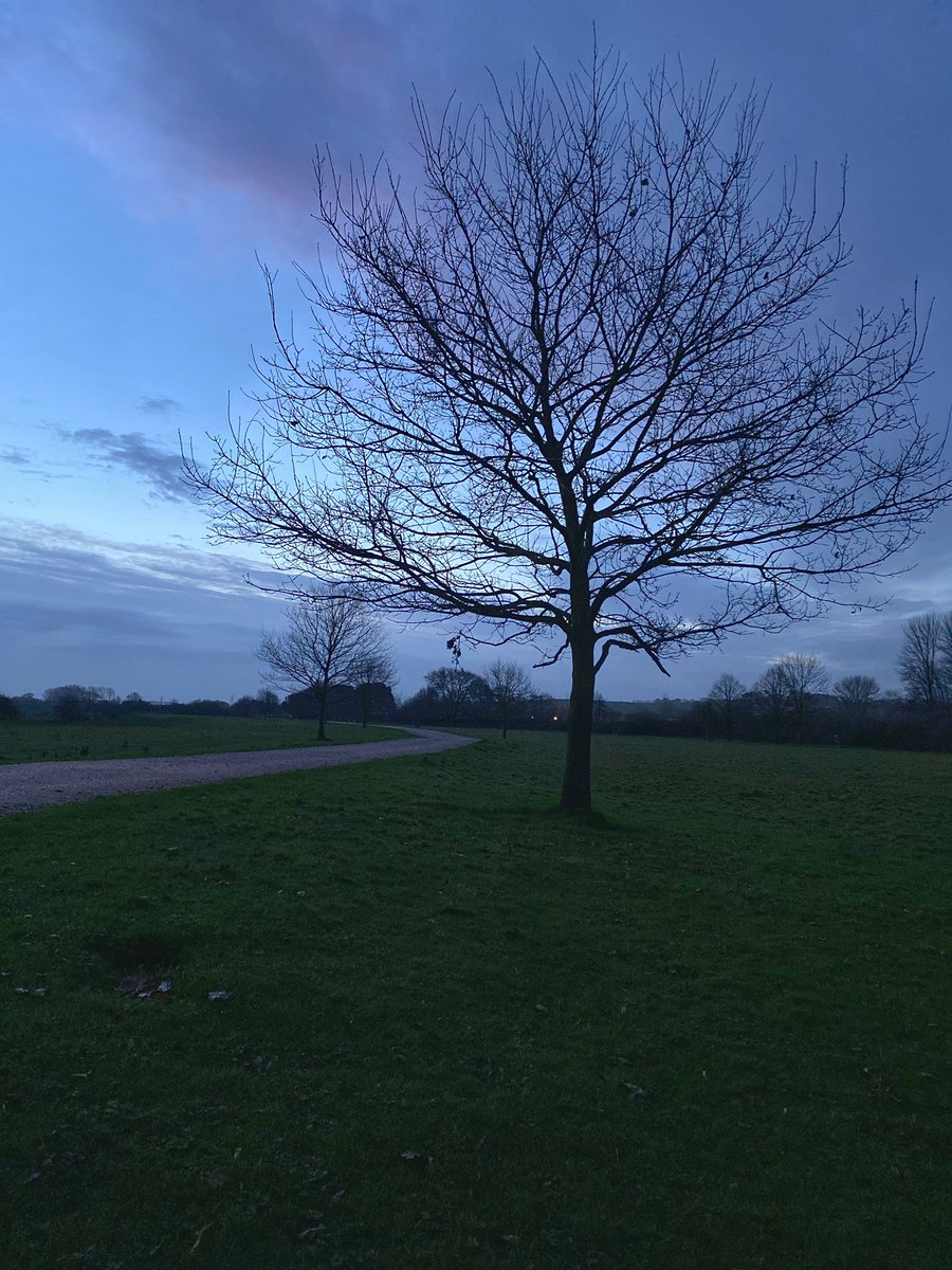 StephanieDarkes's tweet image. Happy New Year!

I wish you joy and happiness for 2022. What one thing will you be doing more of?

I started my new year as I mean to go on - grounding, chasing the sunrise &amp;amp; enjoying the river.

#exeter #exploringexeter #river #walking #sunrise #earlymornjng #newyear #freshstart