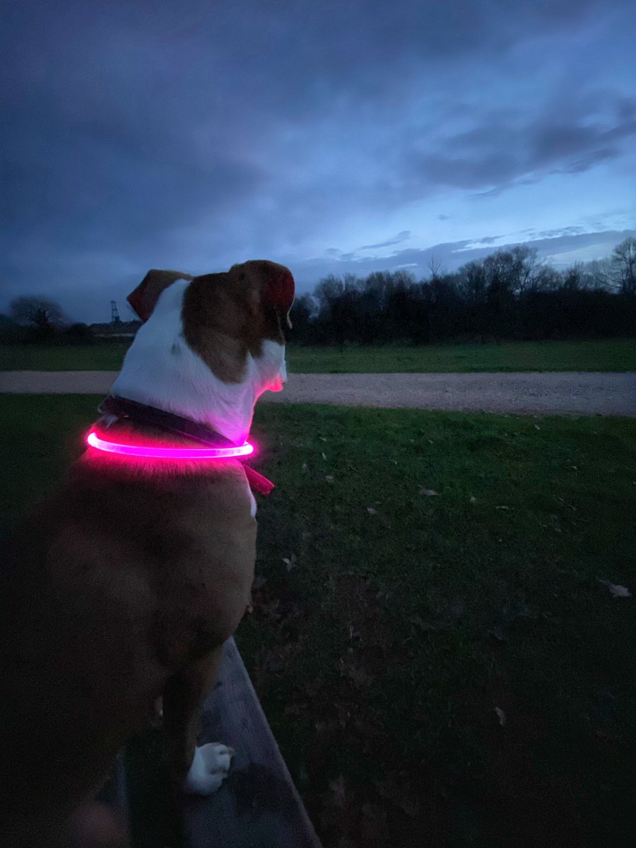 StephanieDarkes's tweet image. Happy New Year!

I wish you joy and happiness for 2022. What one thing will you be doing more of?

I started my new year as I mean to go on - grounding, chasing the sunrise &amp;amp; enjoying the river.

#exeter #exploringexeter #river #walking #sunrise #earlymornjng #newyear #freshstart