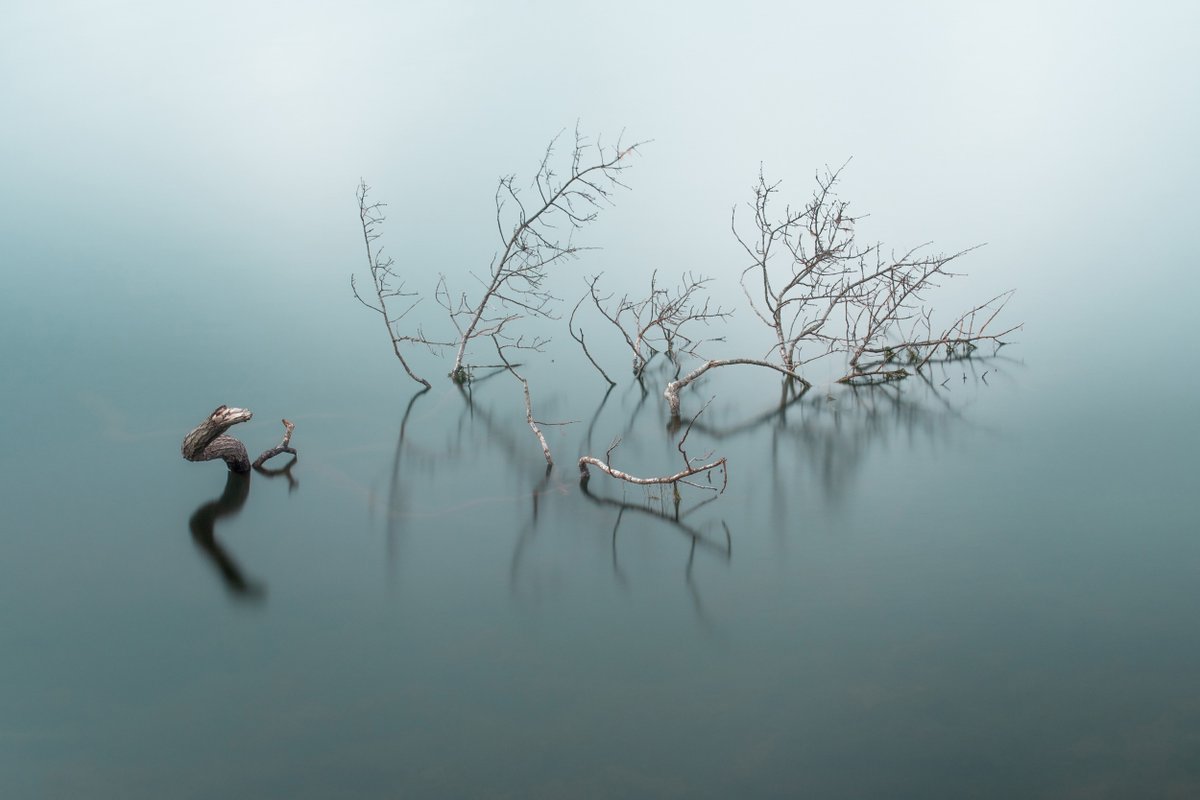 FOCUSED - Autumn edition HNY folks😀 If you're not too hungover my latest newsletter is out, I've a wee spiel on workshops you may find interesting, and a big thanks to @MaliDaviesPhoto for featuring in this edition with some lovely work👍 lensdistrict.com/focused-newsle…