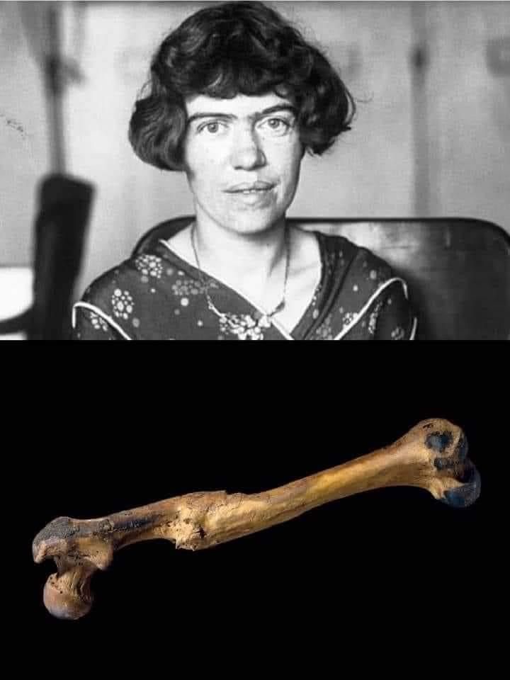 Un étudiant a demandé un jour à l'anthropologue Margaret Mead ce qu'elle considérait comme le premier signe de civilisation dans une culture. (1/6)